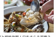 韓国人「また日本人が泥棒！」チャリンコも済州島方言の「チャルンゴ」、今度は韓国語表現の「ご飯泥棒」をそのままパクる！　韓国の反応