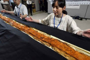 外国人「4世紀の日本の古墳から出てきたロングソードを見てくれ」