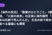 【海外の反応】『薬屋のひとりごと』3期2話、「火鼠の皮衣」の正体に海外騒然 「天女は石綿で死んだんだ」 壬氏の前で妓女を並べる猫猫にも爆笑