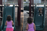 女の子と一緒に遊びたい子犬が勇気を振り絞って滑り台を滑る姿に胸キュン！