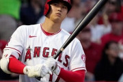 韓国人「来年MLBに導入される「大谷ルール」と呼ばれる新しいルールがこちら‥（ﾌﾞﾙﾌﾞﾙ」→「大谷以外に必要な選手は居るの？」　韓国の反応