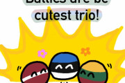 【バルト三国】インターネット調査【ポーランドボール】