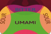 海外「Umamiとかいう気取った日本語は大嫌いだ！塩辛いとか甘くないの別の言い方だろ！」