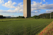 イタリア「君達の国のアホな建物は何？」日本「田んぼの中のマンションだ」