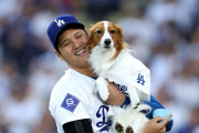 【海外の反応】大谷翔平とデコピンがアメリカで絵本に【MLB】
