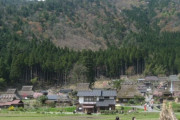 お家で過ごそう！お家でお花見-手作り行楽弁当 海外の反応