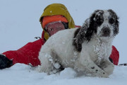 【海外】「登山好き必見！ハイカーが迷子の犬を救出する感動ストーリー」