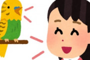 海外「感動した！」日本代表の大坂なおみ選手の歴史に残る一言に海外が超感動