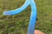 「いろんな形のブーメランを投げてみた…」それぞれの飛び方の違い