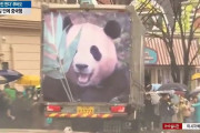 【海外の反応】韓国で生まれたパンダが中国に返還された　海外の反応「 中国政府は人間よりもパンダを大事にしている」