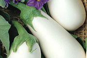 外国人「この色はおかしいだろって果物と野菜を集めてみよう」