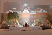 【海外の反応】「日本はいつでも輝いている」日本の札幌の雪景色。