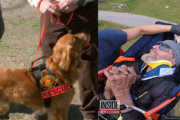 救助犬のゴールデンレトリバーが８日間行方不明になっていた夫婦を発見！