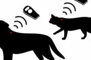 日本で犬猫にマイクロチップ装着を義務付ける法律が成立　海外の反応