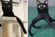 海外「動物の面白画像を立体化する日本人アーティストが面白い！」Part3