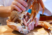 日本の旅館の豪華なカニ料理に外国人もよだれが止まらない…（海外の反応）