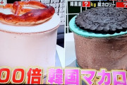 韓国人「日本のテレビで紹介された韓国のマカロンがこちら…ﾌﾞﾙﾌﾞﾙ」