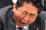 ボルトン回顧録「私の考えと日本の立場が非常に似ていた」日本は「行動対行動」へのアプローチを懸念していた　韓国の反応