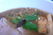 【海外の反応】「日本は確かに独特です」日本の昆虫食。