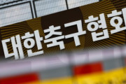 法人カードで審判に性接待か、大韓サッカー協会の過去疑惑に「税金が惜しい」と怒り