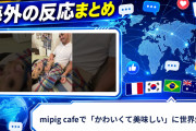 【海外の反応】mipig cafeで「かわいくて美味しい」に世界爆笑