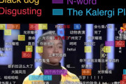 海外「レイシスト国家中国。15歳の黒人少女のダンス動画に大量に差別コメントが投稿される」