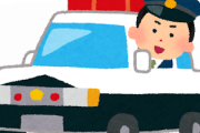 日本の警察官VS太いパイプで武装した上半身裸の男