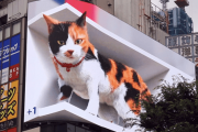 【中国の反応】 新宿駅に“巨大猫”が出現「隣の看板の方が気になる」「日本人てナゼそんなに猫が好きなの？」