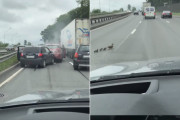 道路で事故現場に遭遇！驚きのその原因は、〇〇の親子だった！