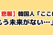 【悲報】韓国人「ここはもう未来がない…」自営業の廃業がとんでもない数字に