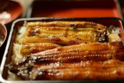 韓国人「和食が不味くて驚いた！」和食で美味しいのは韓国式和食、本場の和食は甘すぎて、塩辛くて、脂っこくて不味い　韓国の反応