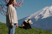中国人「10月8日の鎌倉が最高に美しかった」　中国人「めちゃくちゃきれい」「同じ場所とは思えない」