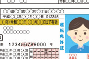 これが日本の運転免許証だ！　“スタンド使いのコレクションか？”　【海外の反応】