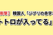 【衝撃】韓国人「ジブリの大赤字リスト、トトロが入ってるんだが」