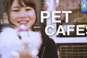 日本の動物カフェをインタビュー。なんで外国にはこんな可愛いカフェがないの？？？
