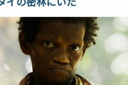 韓国人「日本人の起源が遂にジャングルの中から発見される！」→「日本人は韓国人と混血して北東アジア人らしい顔になったのですね」　韓国の反応