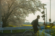 「どうして日本はこんなに完璧なんだ」親日外国人が日本の風景を愛でるスレ