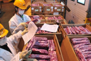 韓国紙「狂牛病ろうそくデモから13年 ... 韓国、日本を抜いて米国産牛肉の最大輸入国に浮上」韓国の反応