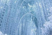 海外「なんという幻想的な光景だろう…驚きです」朽木白哉の卍解みたいだ（海外の反応）