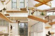 海外「これはとても工夫に満ちているね」日本のとある住宅メーカーが作った意外なアイデアの家が素晴らしいと話題に