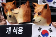 韓国人「日本のクジラ虐殺は？」ハリウッドスターが韓国非難！「韓国は犬を食用として集団飼育する唯一の国」　韓国の反応