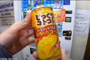【海外の反応】「日本の自販機は無限の驚きと愛です」日本の自動販売機。