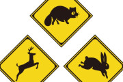 日本には猫の飛び出し注意の道路標識がある。みんなの国にはユニークな道路標識ある？　【海外の反応】