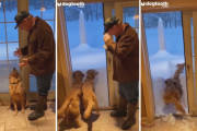 初めて見た雪に埋もれながら遊ぶ2匹のゴールデンレトリバーが可愛い！（アメリカ）