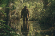 【海外】フロリダの謎の生物「スカンクエイプ」を追い求め続けたビッグフットハンターの壮絶な冒険！