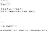 韓国人「とある日本人の言葉で説明しがたい趣味がこちら…」