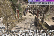 閉門中の京都・愛宕念仏寺に壁を乗り越え侵入、中国人観光客を逮捕。海外「全国ニュースになることなのか？」