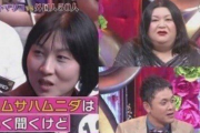 【激怒】韓国人「日本の番組が韓国紹介！」→「偏見だ！捏造だ！」と大荒れする件