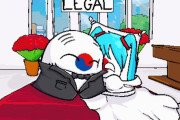 【韓国】結婚のパラドックス【ポーランドボール】