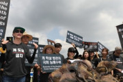 韓国人「アメリカ人が韓国人留学生を拒絶してしまう‥（ﾌﾞﾙﾌﾞﾙ」米国人「お前ら犬の肉を食べるから来ないで」 韓国青少年の米研修が行き詰る　韓国の反応　